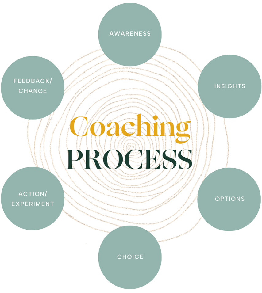 Coaching process diagram